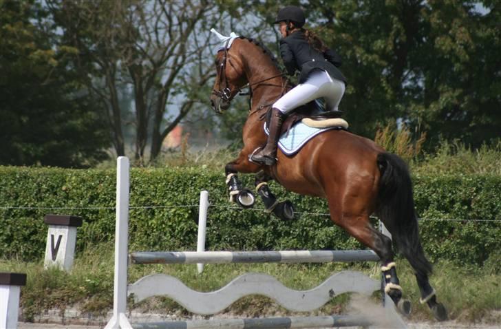 Spring i DSM rideklub den 21 juni 2009 billede 6