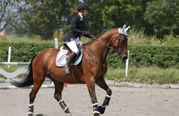 Spring i DSM rideklub den 21 juni 2009 billede 7