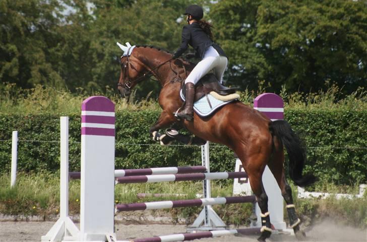 Spring i DSM rideklub den 21 juni 2009 billede 8