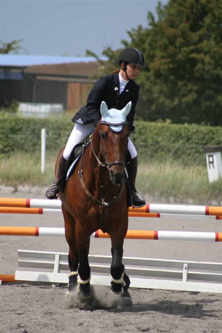 Spring i DSM rideklub den 21 juni 2009 billede 9