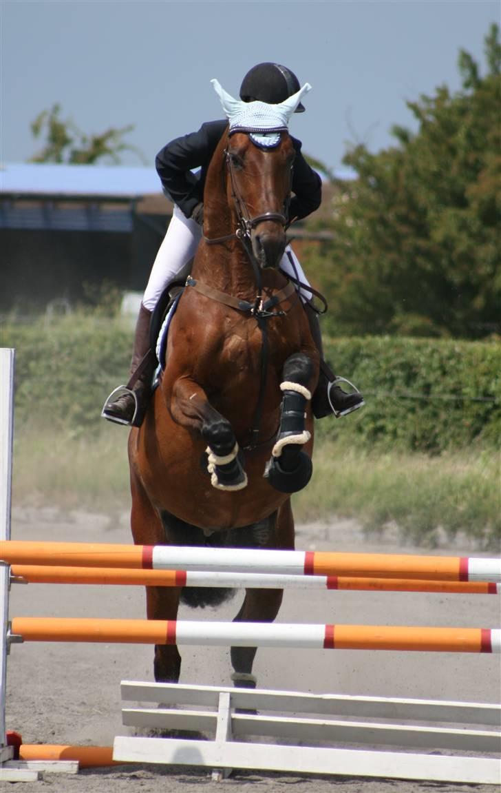 Spring i DSM rideklub den 21 juni 2009 billede 10