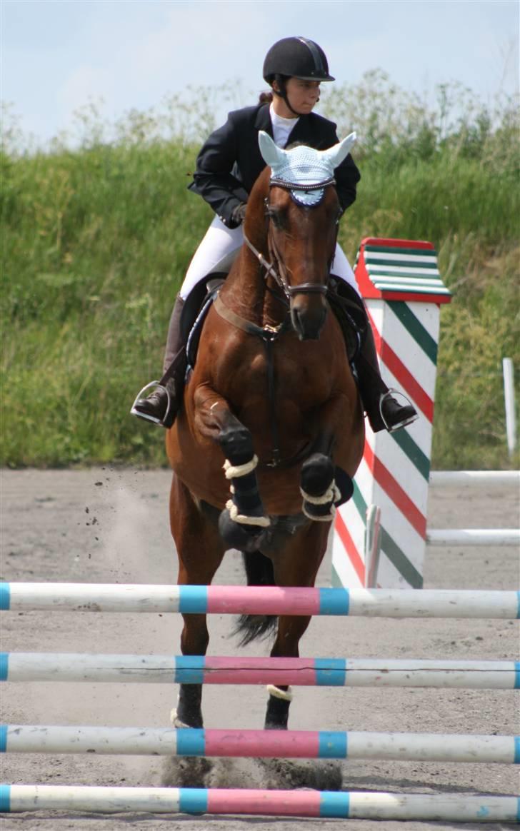 Spring i DSM rideklub den 21 juni 2009 billede 11