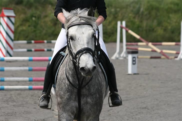 Spring i DSM rideklub den 21 juni 2009 billede 12