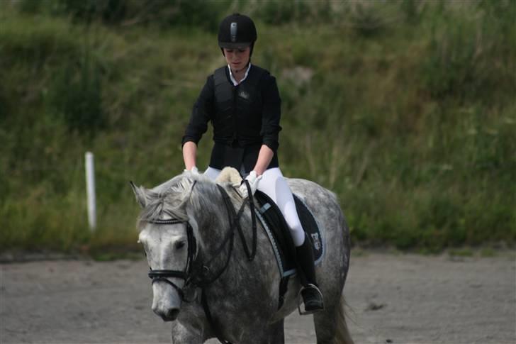 Spring i DSM rideklub den 21 juni 2009 billede 13