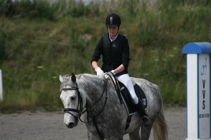 Spring i DSM rideklub den 21 juni 2009 billede 14