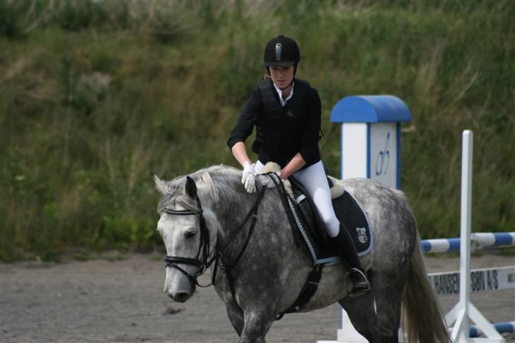 Spring i DSM rideklub den 21 juni 2009 billede 15