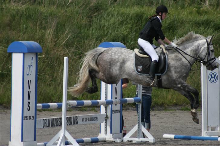 Spring i DSM rideklub den 21 juni 2009 billede 16