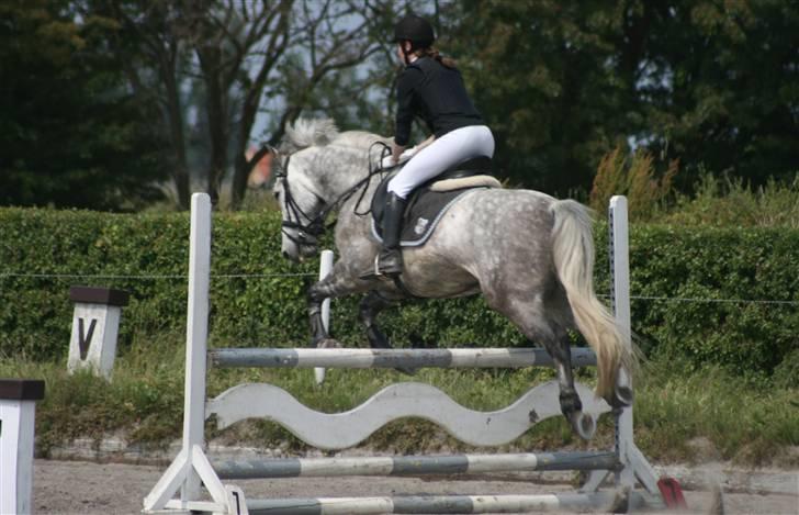 Spring i DSM rideklub den 21 juni 2009 billede 18