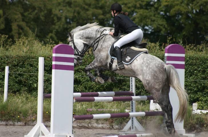 Spring i DSM rideklub den 21 juni 2009 billede 19