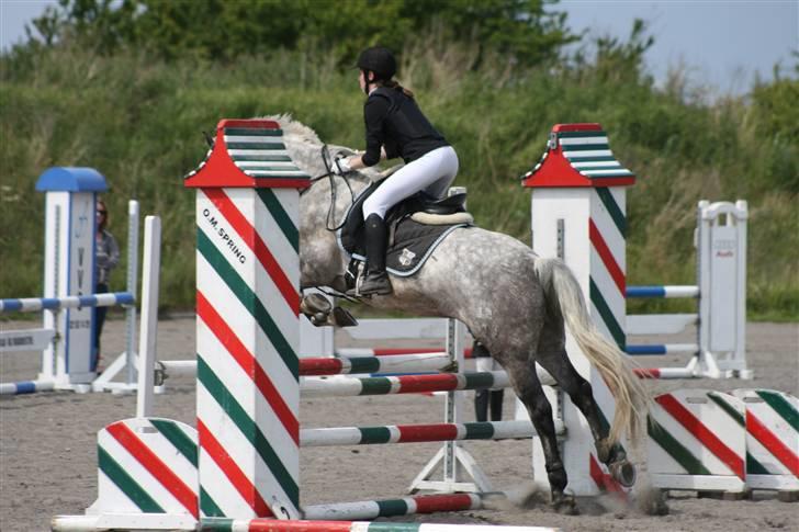 Spring i DSM rideklub den 21 juni 2009 billede 21