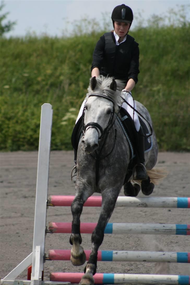 Spring i DSM rideklub den 21 juni 2009 billede 22