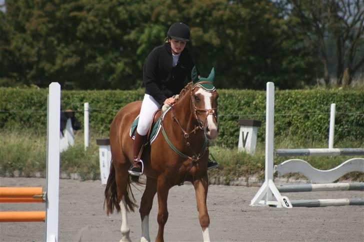 Spring i DSM rideklub den 21 juni 2009 billede 24