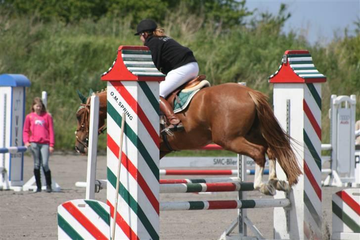 Spring i DSM rideklub den 21 juni 2009 billede 25