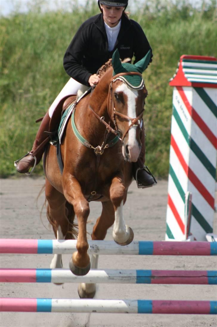 Spring i DSM rideklub den 21 juni 2009 billede 27