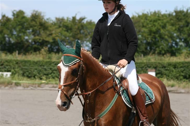 Spring i DSM rideklub den 21 juni 2009 billede 29