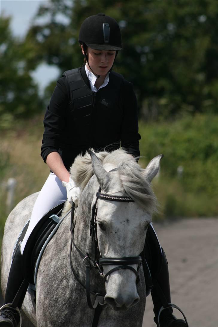 Spring i DSM rideklub den 21 juni 2009 billede 31