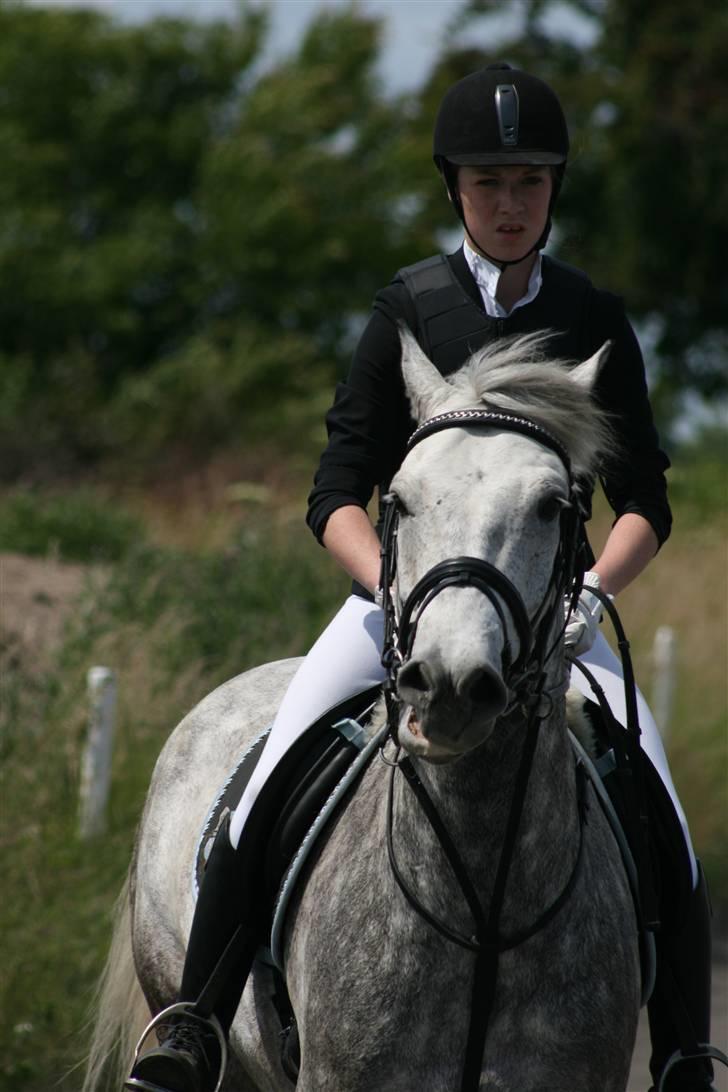 Spring i DSM rideklub den 21 juni 2009 billede 32