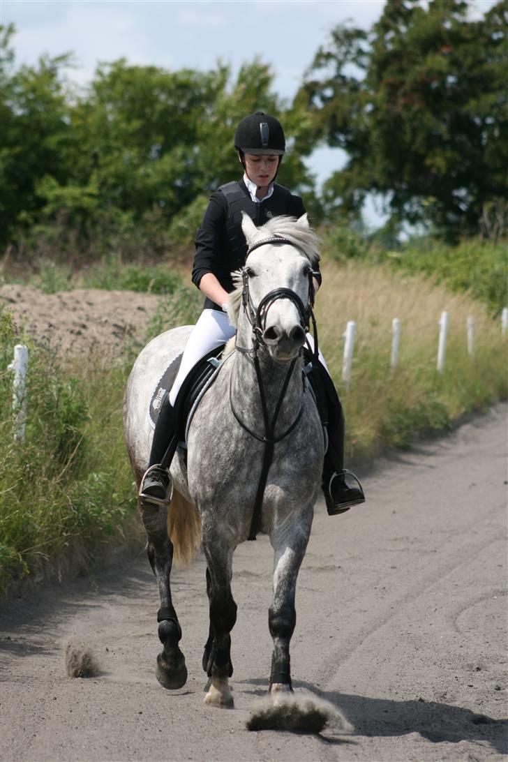 Spring i DSM rideklub den 21 juni 2009 billede 33