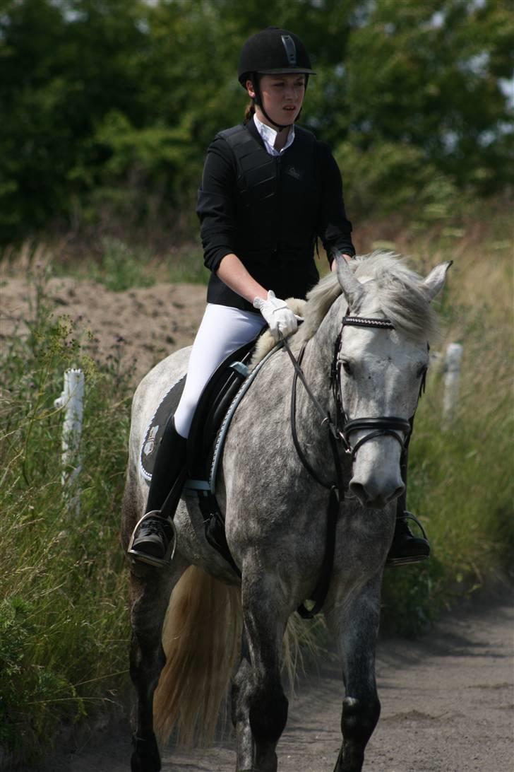 Spring i DSM rideklub den 21 juni 2009 billede 34