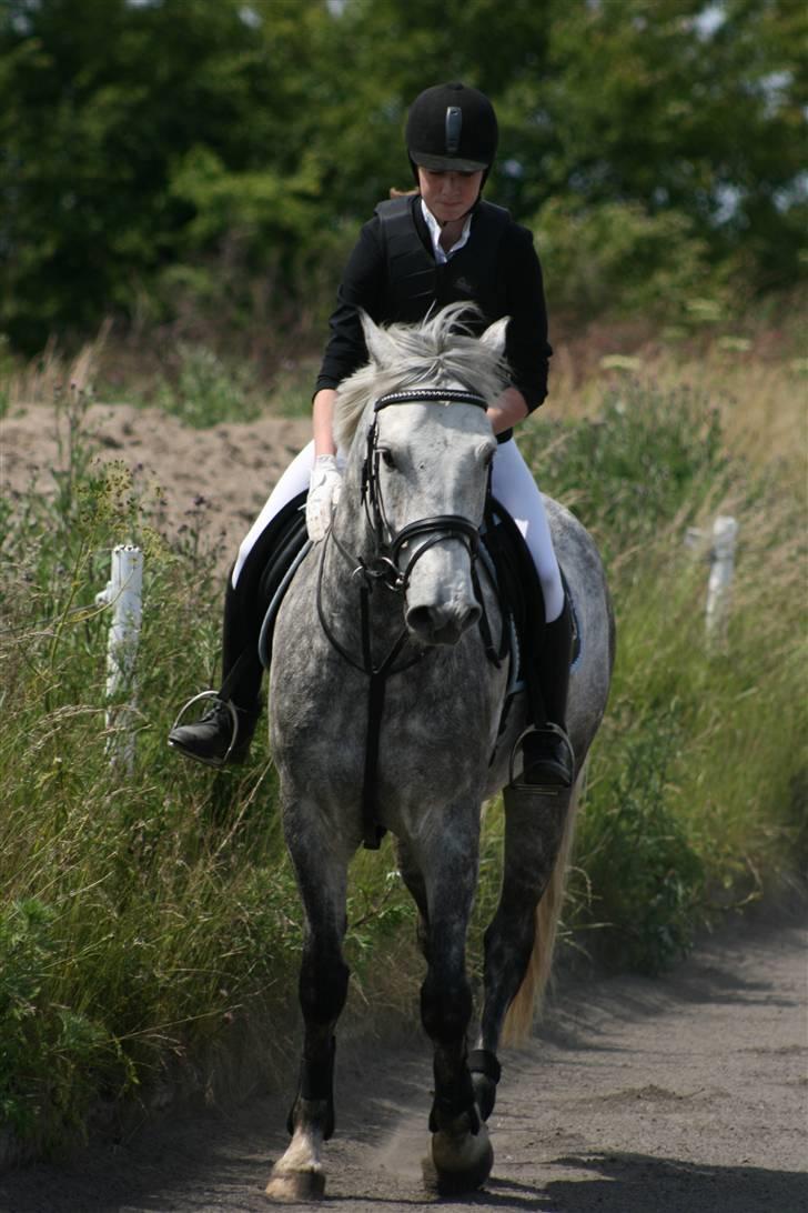 Spring i DSM rideklub den 21 juni 2009 billede 35