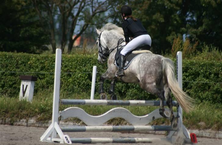 Spring i DSM rideklub den 21 juni 2009 billede 36