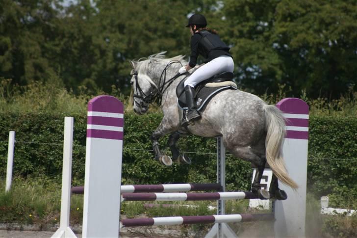 Spring i DSM rideklub den 21 juni 2009 billede 37