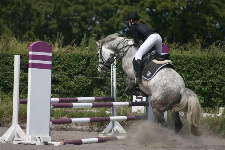 Spring i DSM rideklub den 21 juni 2009 billede 38