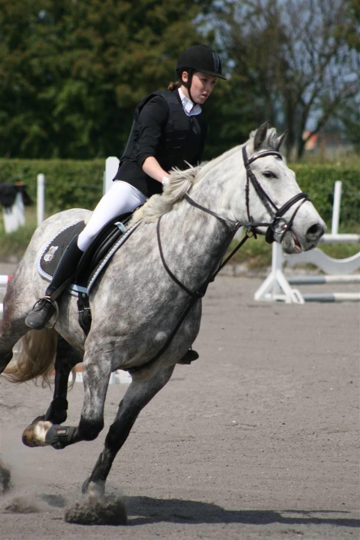 Spring i DSM rideklub den 21 juni 2009 billede 39