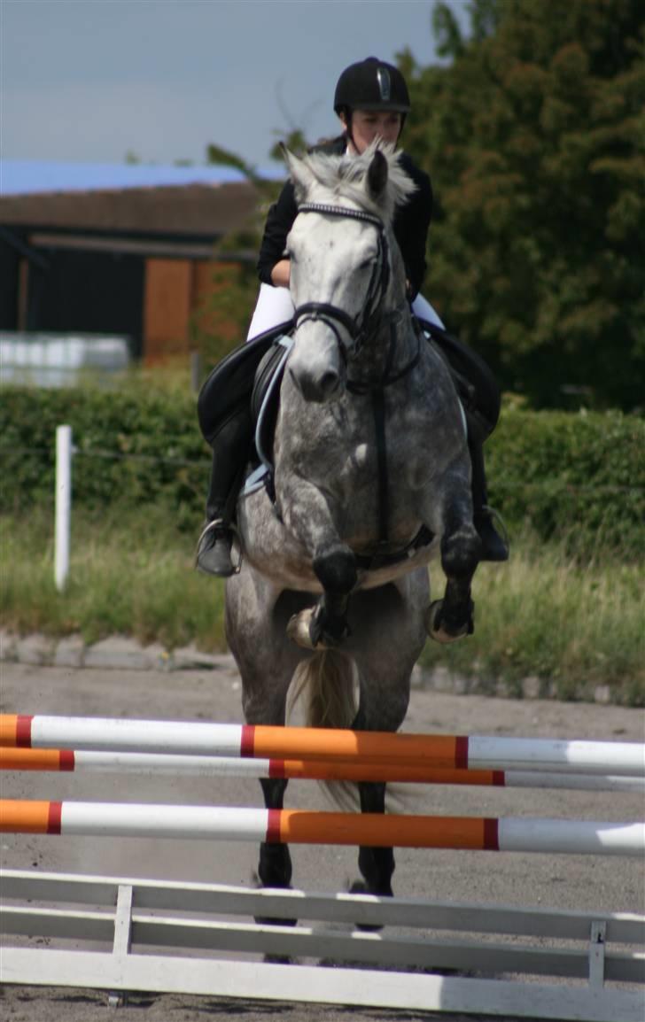 Spring i DSM rideklub den 21 juni 2009 billede 40