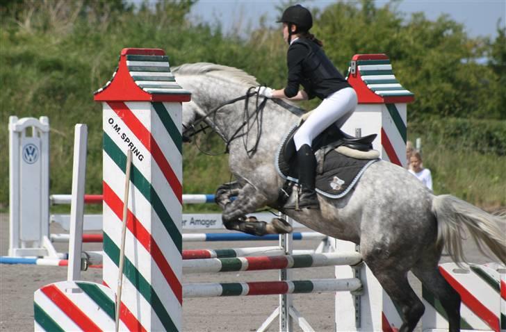 Spring i DSM rideklub den 21 juni 2009 billede 41