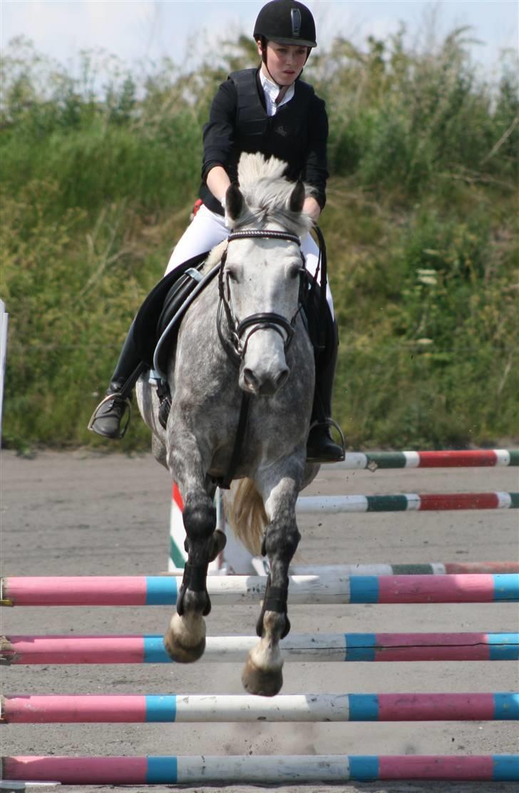 Spring i DSM rideklub den 21 juni 2009 billede 42