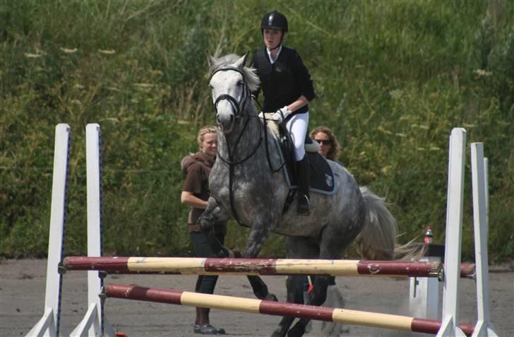 Spring i DSM rideklub den 21 juni 2009 billede 43