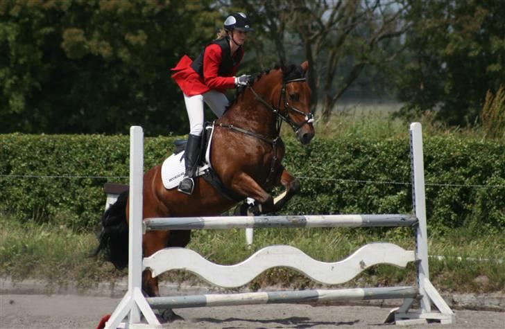 Spring i DSM rideklub den 21 juni 2009 billede 45