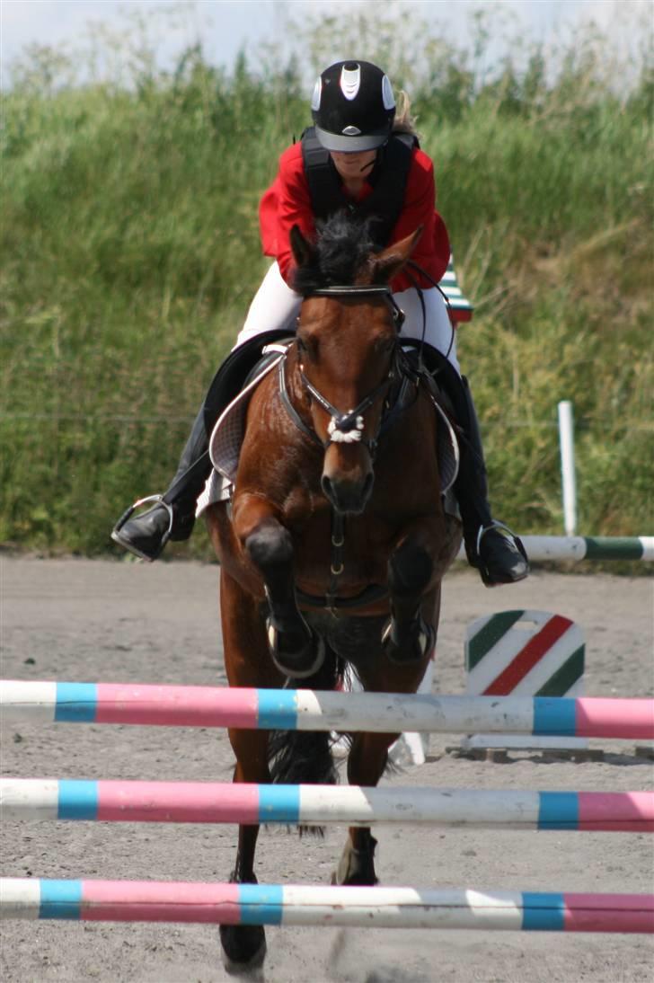 Spring i DSM rideklub den 21 juni 2009 billede 47