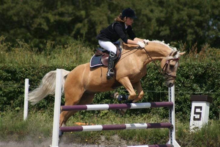 Spring i DSM rideklub den 21 juni 2009 billede 49