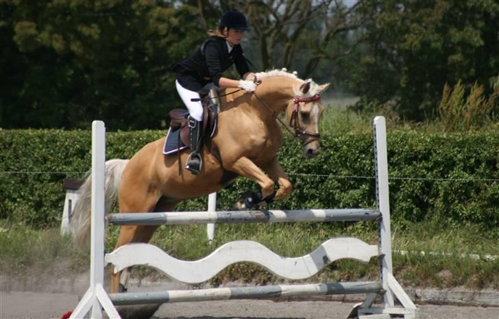 Spring i DSM rideklub den 21 juni 2009 billede 50