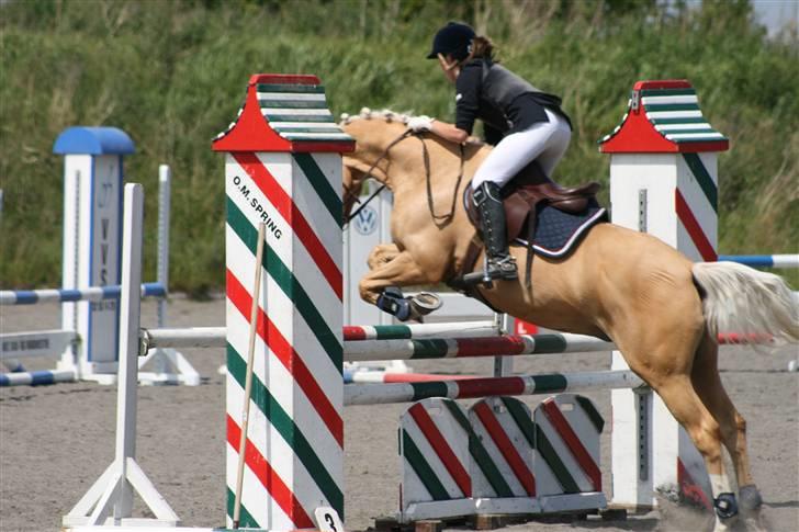 Spring i DSM rideklub den 21 juni 2009 billede 51