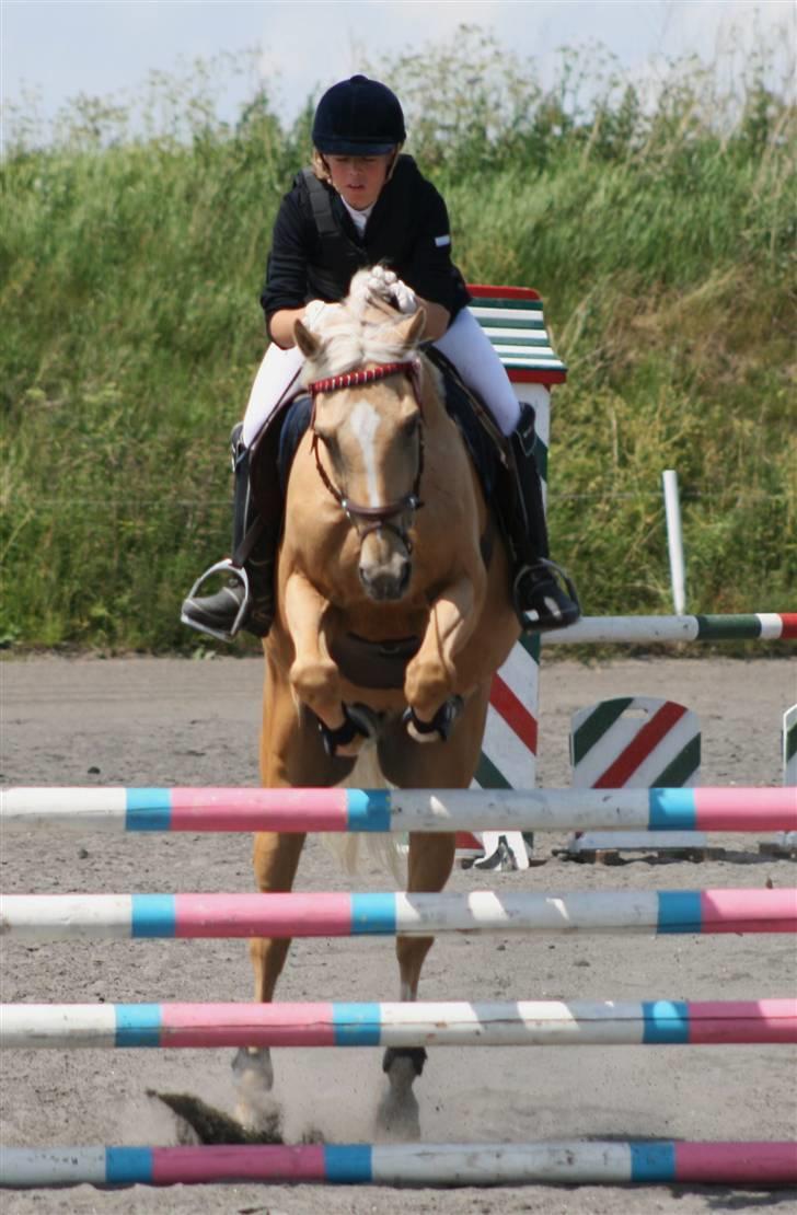 Spring i DSM rideklub den 21 juni 2009 billede 52