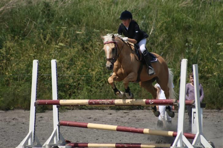 Spring i DSM rideklub den 21 juni 2009 billede 53