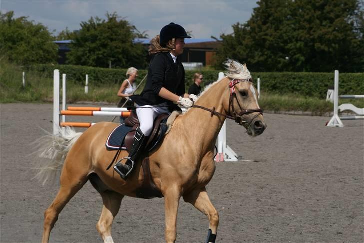 Spring i DSM rideklub den 21 juni 2009 billede 54