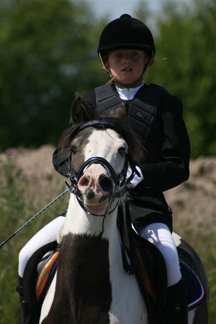 Spring i DSM rideklub den 21 juni 2009 billede 55