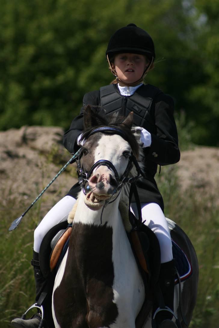 Spring i DSM rideklub den 21 juni 2009 billede 56