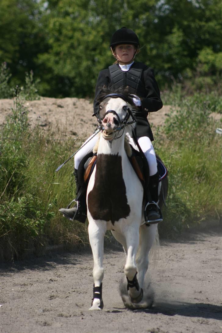 Spring i DSM rideklub den 21 juni 2009 billede 57