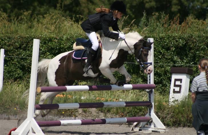 Spring i DSM rideklub den 21 juni 2009 billede 59