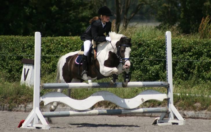 Spring i DSM rideklub den 21 juni 2009 billede 60