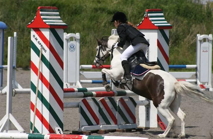 Spring i DSM rideklub den 21 juni 2009 billede 61