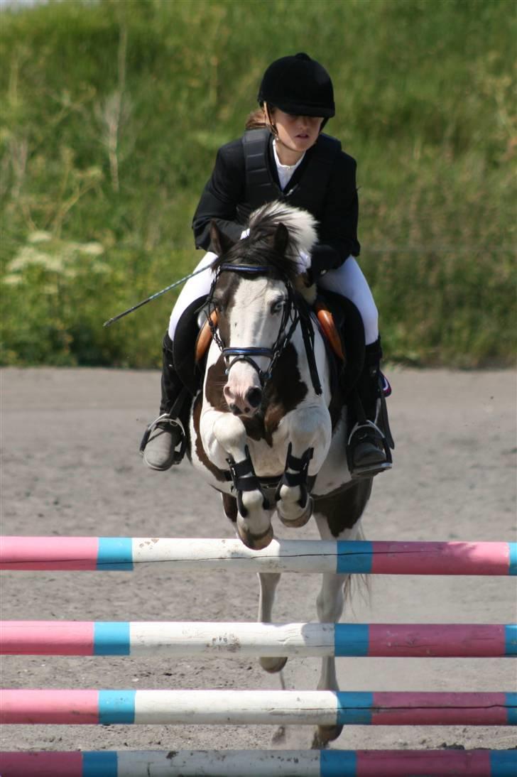 Spring i DSM rideklub den 21 juni 2009 billede 62