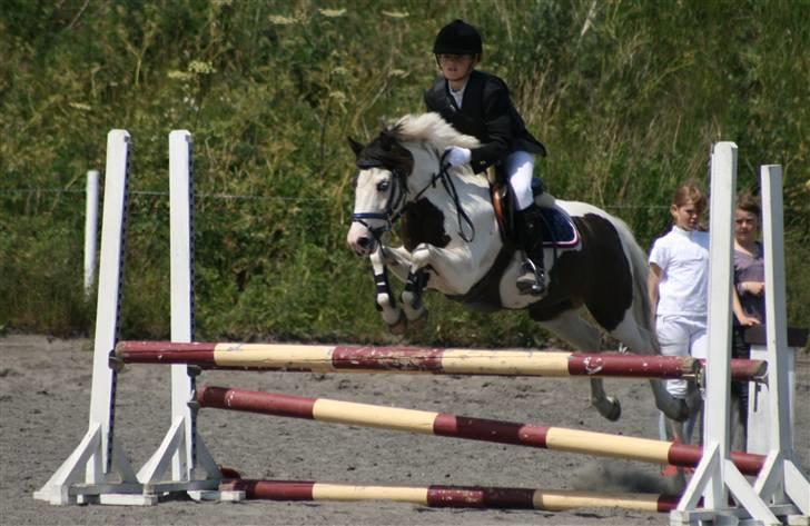 Spring i DSM rideklub den 21 juni 2009 billede 63