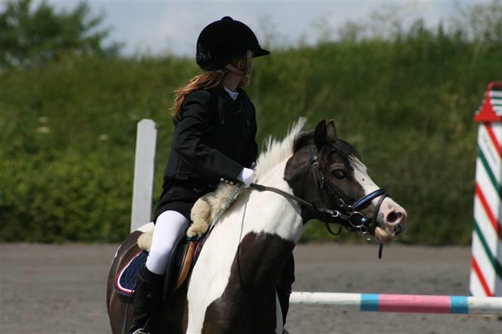 Spring i DSM rideklub den 21 juni 2009 billede 64