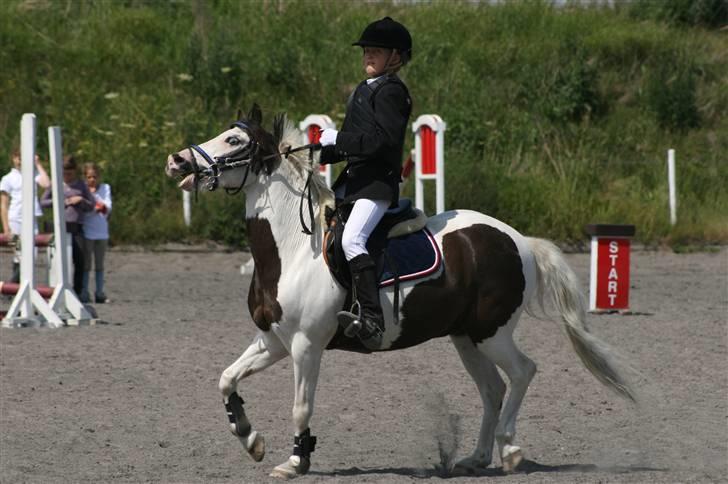 Spring i DSM rideklub den 21 juni 2009 billede 65